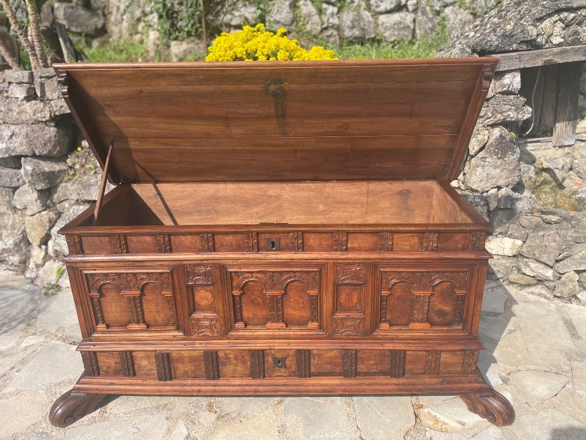 Magnificent Cassone Chest In Walnut From The 17th Century -photo-2