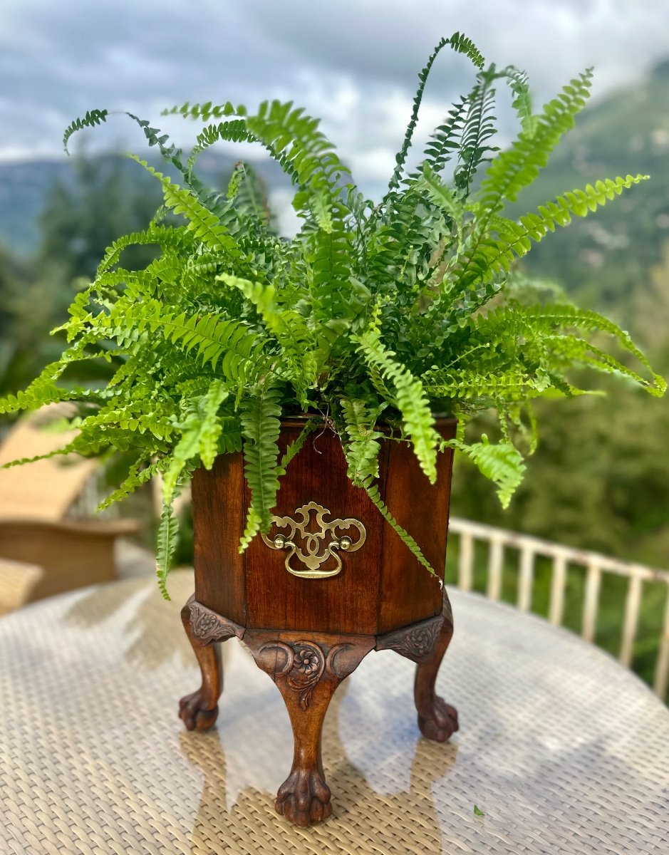 Magnificent 19th Century Mahogany Wine Cooler -photo-4