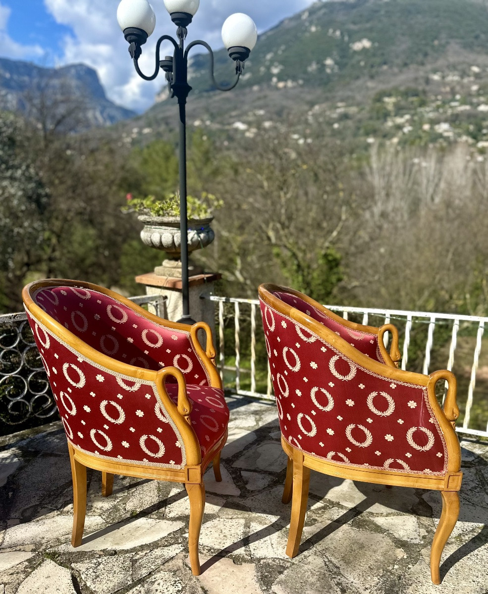 Pair Of Empire Style Swan Neck Bergère Armchairs, 20th Century -photo-2