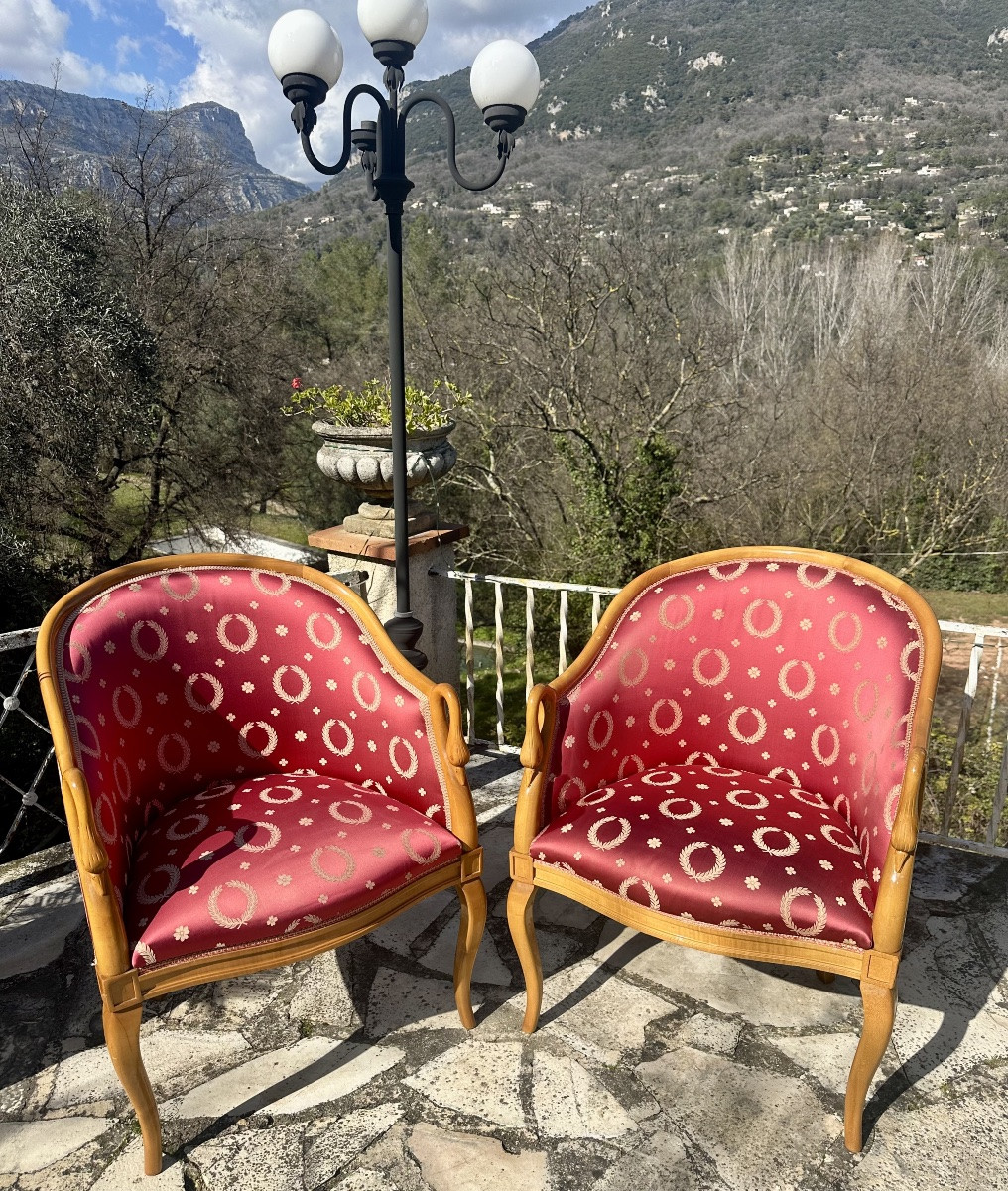 Pair Of Empire Style Swan Neck Bergère Armchairs, 20th Century -photo-4