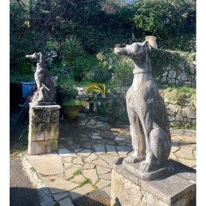 Pair Of Greyhounds In Reconstituted Stone Around 1960 20th Century Period 