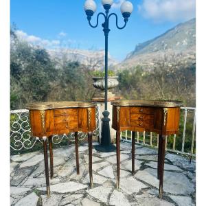 Pair Of Louis XV Style Kidney Bedside Tables, 19th Century 