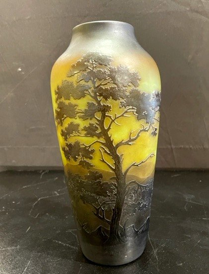 Acid Cleared Vase