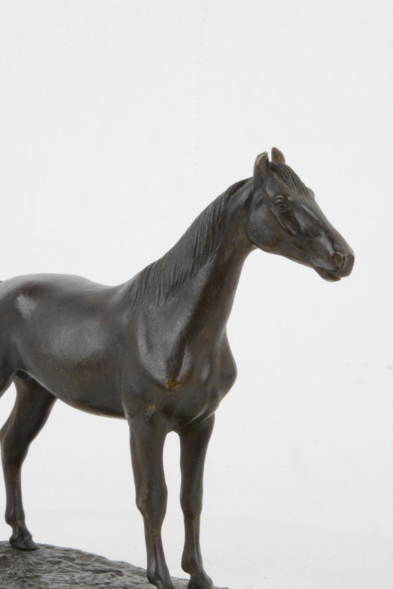 Thoroughbred - Isidore Bonheur 1827-1901-photo-4