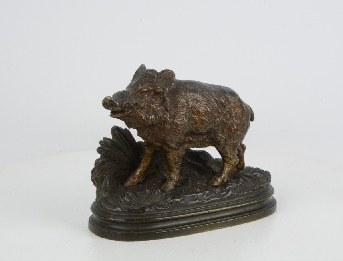 Wild Boar - Alfred Dubucan 1828-1894-photo-1