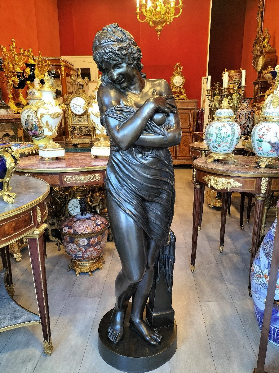 Very Large Patined Bronze Sculpture -photo-2