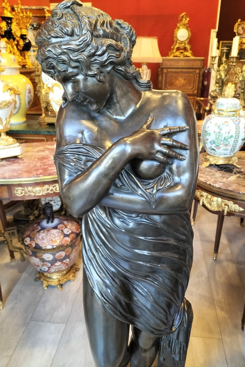 Very Large Patined Bronze Sculpture -photo-3