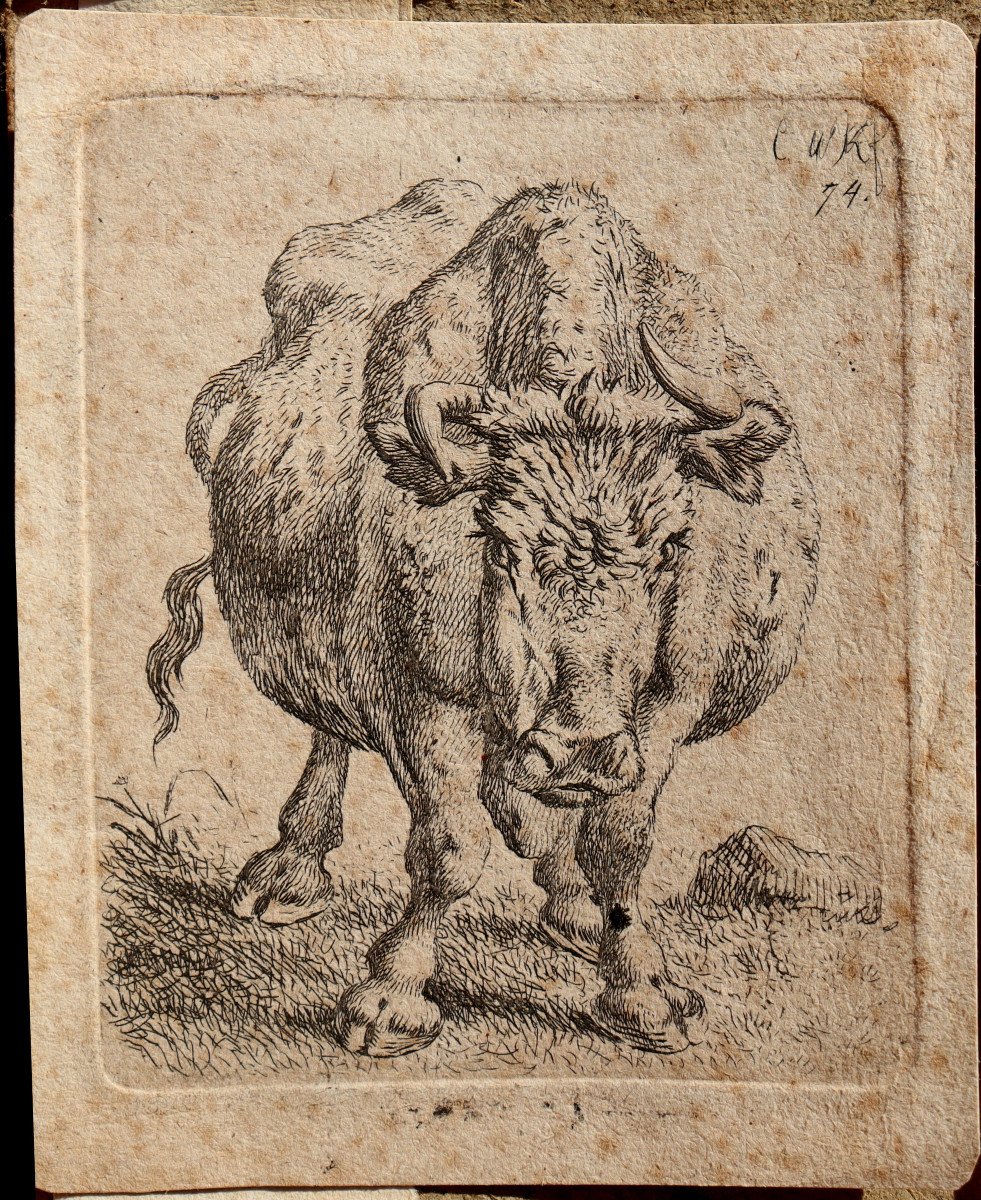 Carl Wilhem Kolbe I : “the Ox”-photo-2