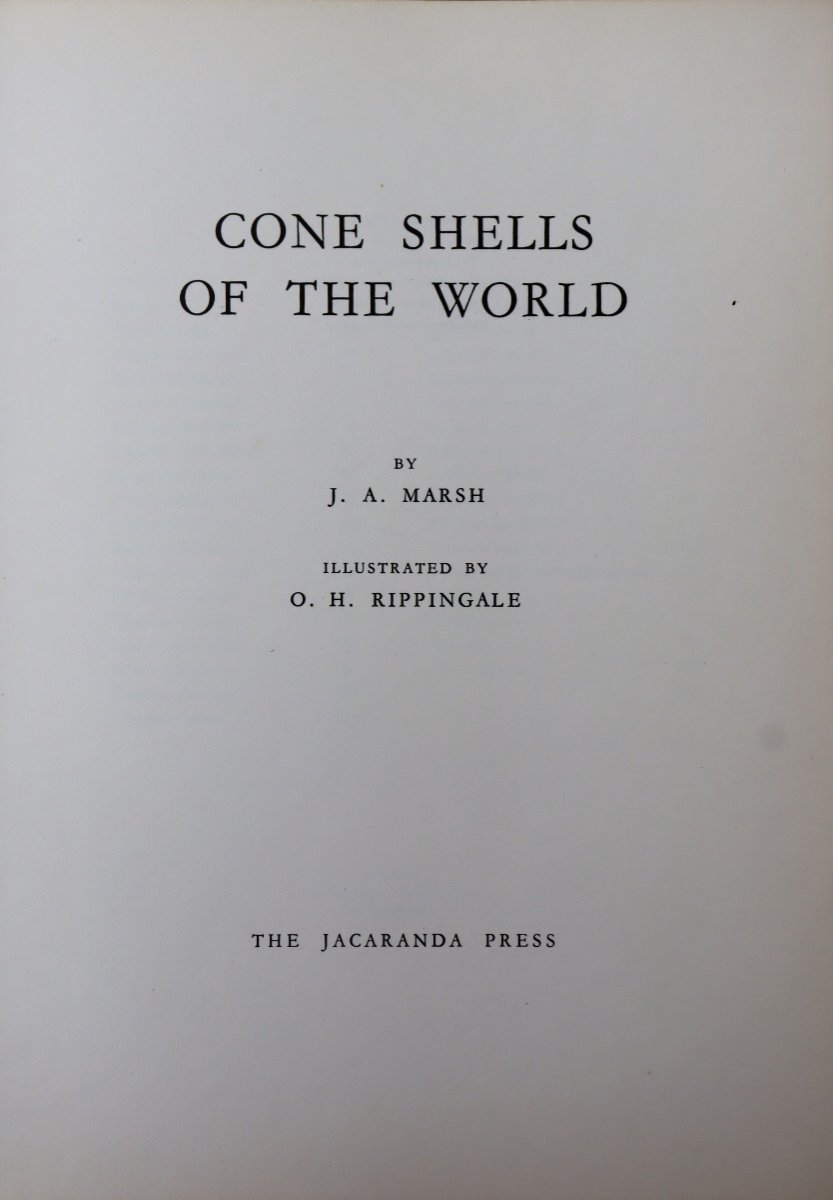 MARSH AND RIPPINGALE : "CONE SHELLS OF THE WORLD"-photo-2