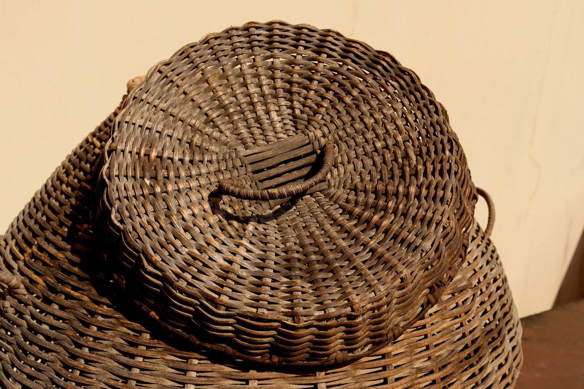 France Circa 1950 : "exceptional Basket For Chickens In Basketwork"-photo-4