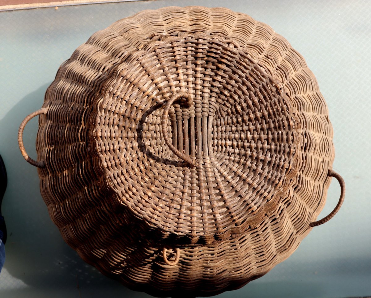 France Circa 1950 : "exceptional Basket For Chickens In Basketwork"-photo-1