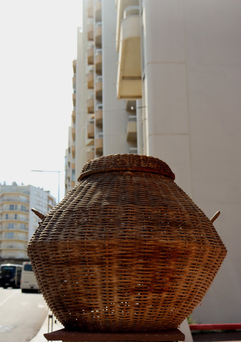 France Circa 1950 : "exceptional Basket For Chickens In Basketwork"