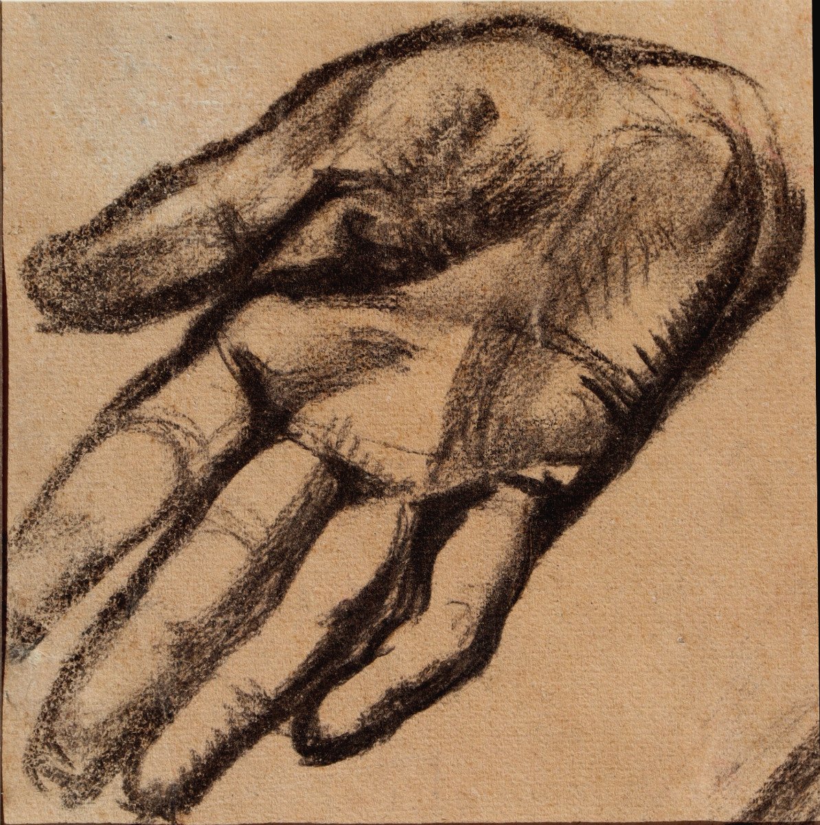 VII Rene-marie Castaing : "study Of The Right Hand"