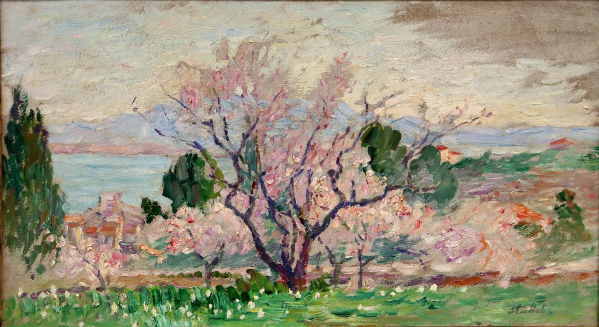 Horace Richebe : "spring In Sanary"-photo-2