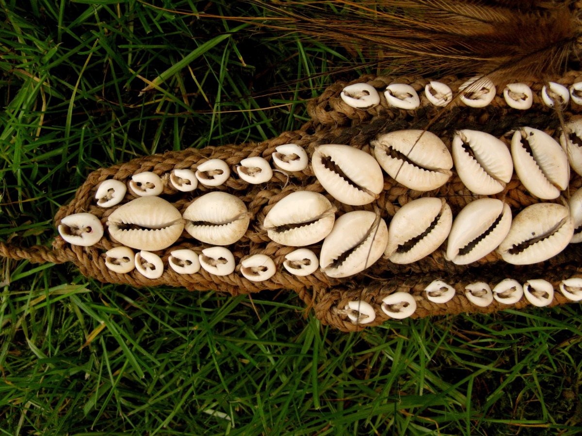 Important Papuanian / New Guinea Headdress-photo-4