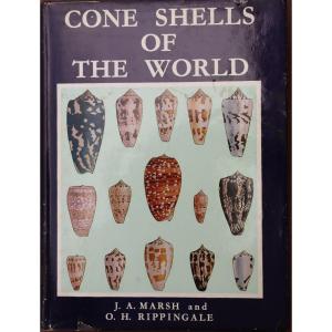 Marsh And Rippingale : “cone Shells Of The World”