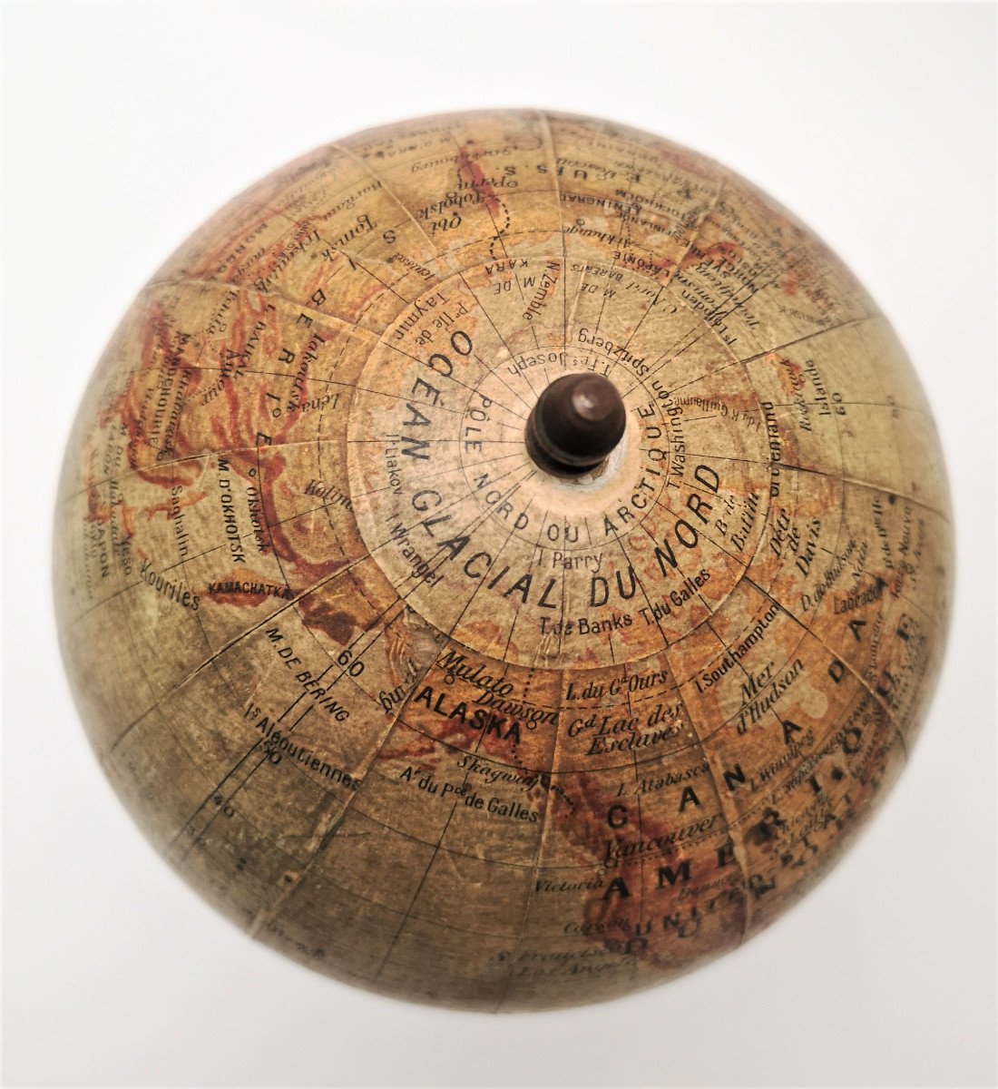 Terrestrial Globe By Forest