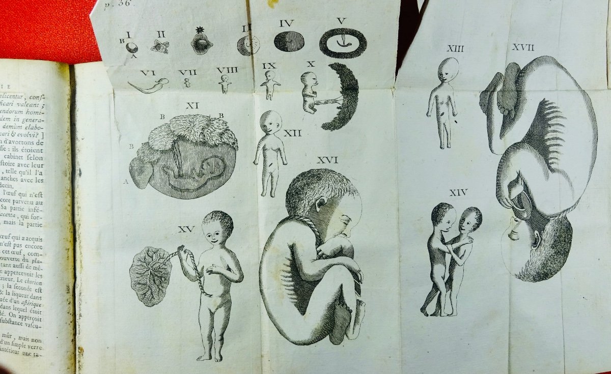 DINOUART - Abrégé de l'embryologie sacrée. Chez Nyon, 1766. Reliure d'époque.