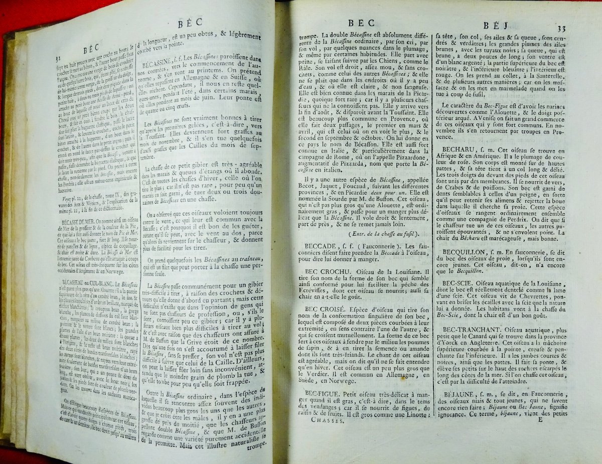 SOUS LA DIRECTION DE PANCKOUCKE - Encyclopédie méthodique, Chasse et pêches. 1795.-photo-4