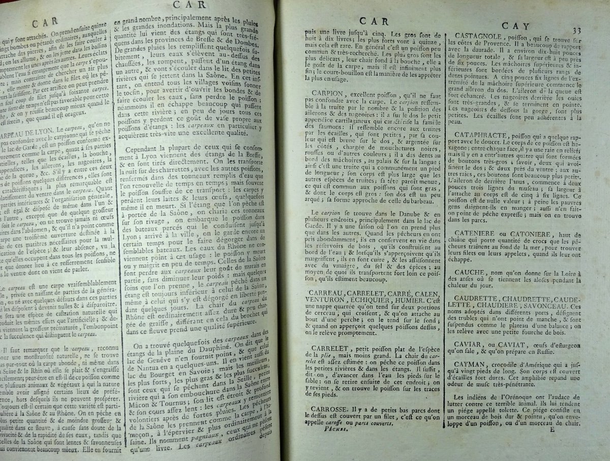 SOUS LA DIRECTION DE PANCKOUCKE - Encyclopédie méthodique, Chasse et pêches. 1795.-photo-8