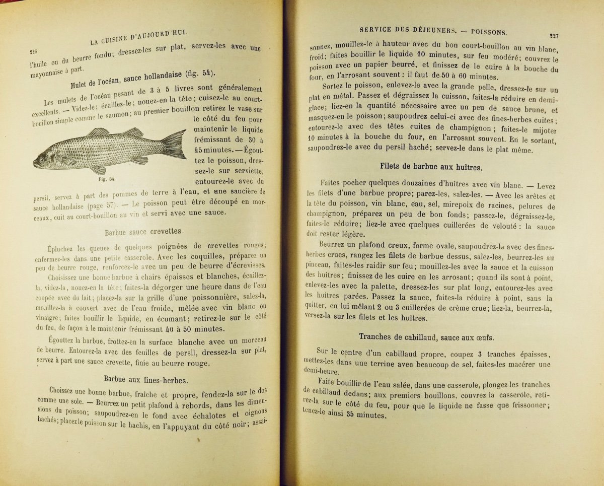 URBAIN-DUBOIS - La cuisine d'aujourd'hui. 220 dessins, dont 40 planches gravées. Vers 1890.-photo-6