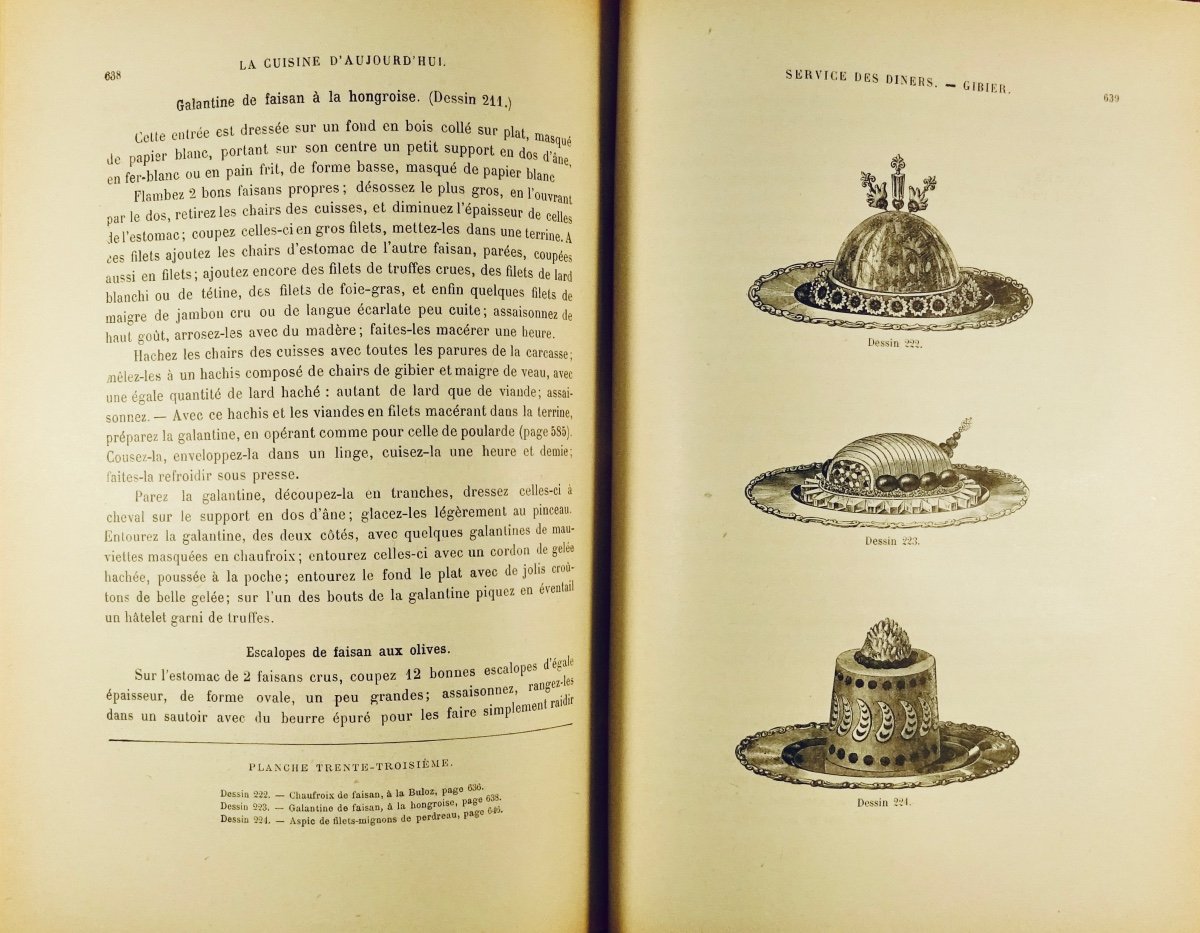 URBAIN-DUBOIS - La cuisine d'aujourd'hui. 220 dessins, dont 40 planches gravées. Vers 1890.-photo-7