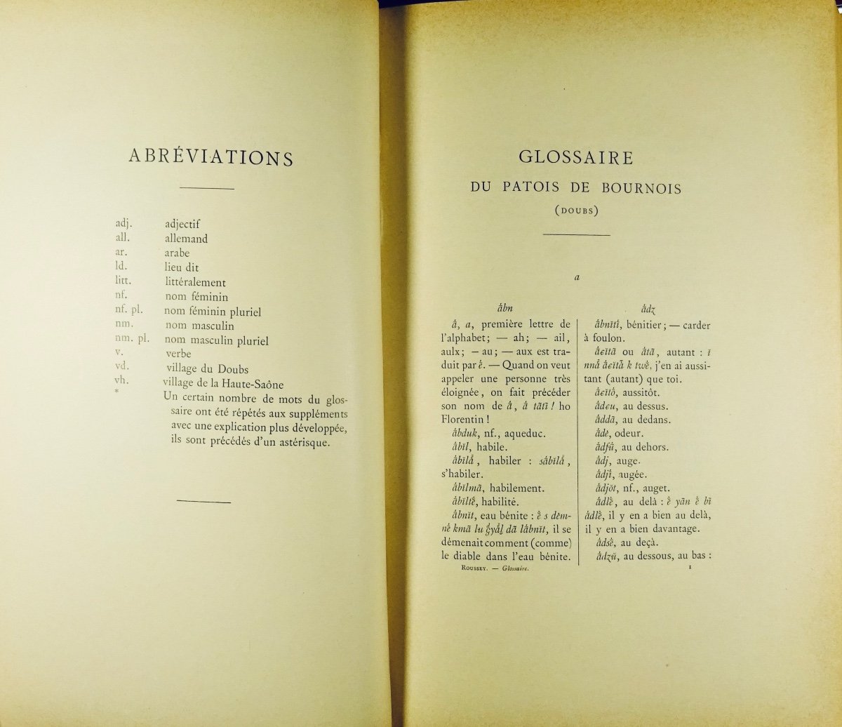 Roussey (charles) - Glossary Of The Speech Of Bournois. Welter, 1894. Beautiful Binding.-photo-2