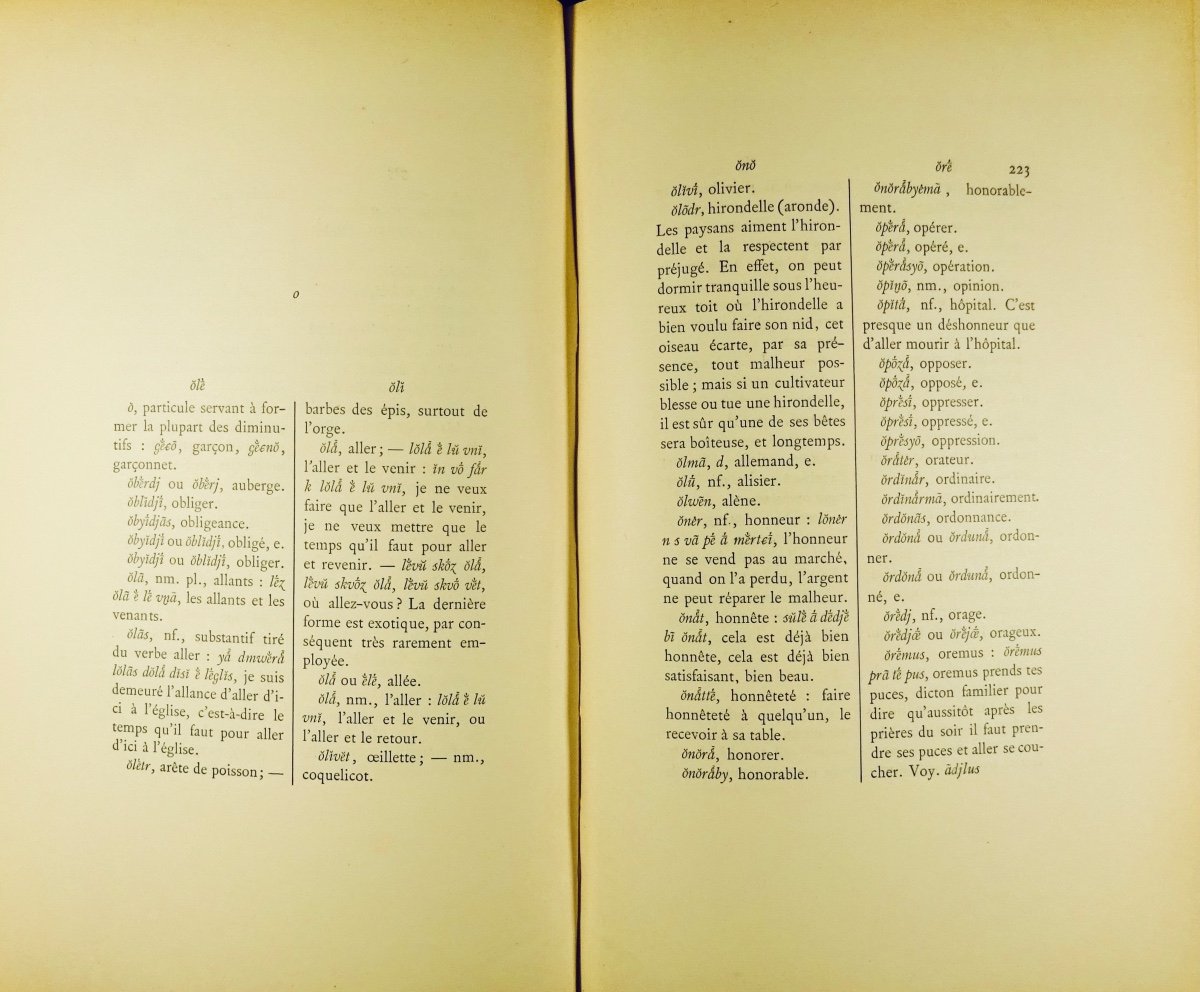 Roussey (charles) - Glossary Of The Speech Of Bournois. Welter, 1894. Beautiful Binding.-photo-3