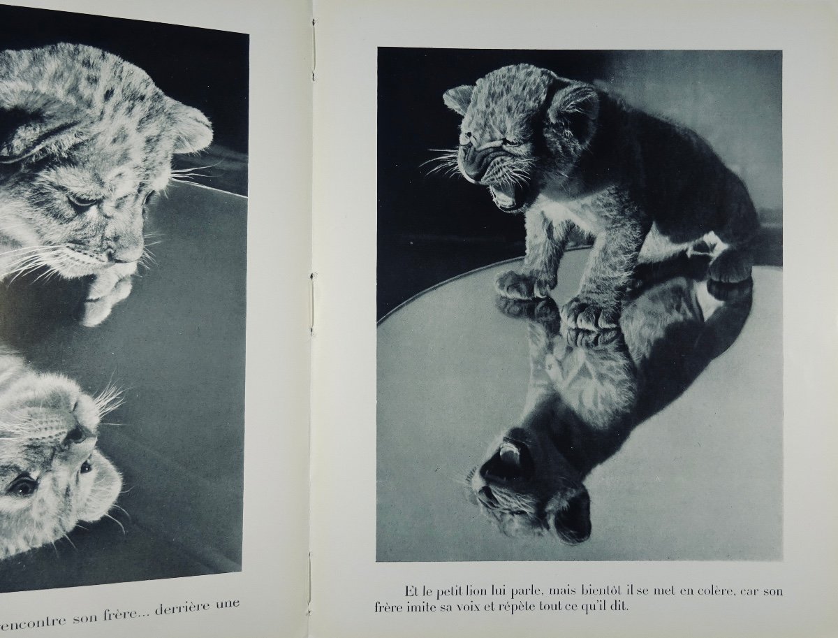 PRÉVERT (Jacques) - Le Petit lion. Arts & Métiers Graphiques, 1949 et dédicacé par l'auteur.-photo-4