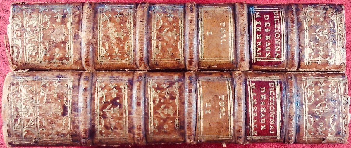 [BUC'HOZ (Pierre-Joseph)] - Dictionnaire des eaux minérales. 2 volumes, 1775, reliés d'époque.-photo-4