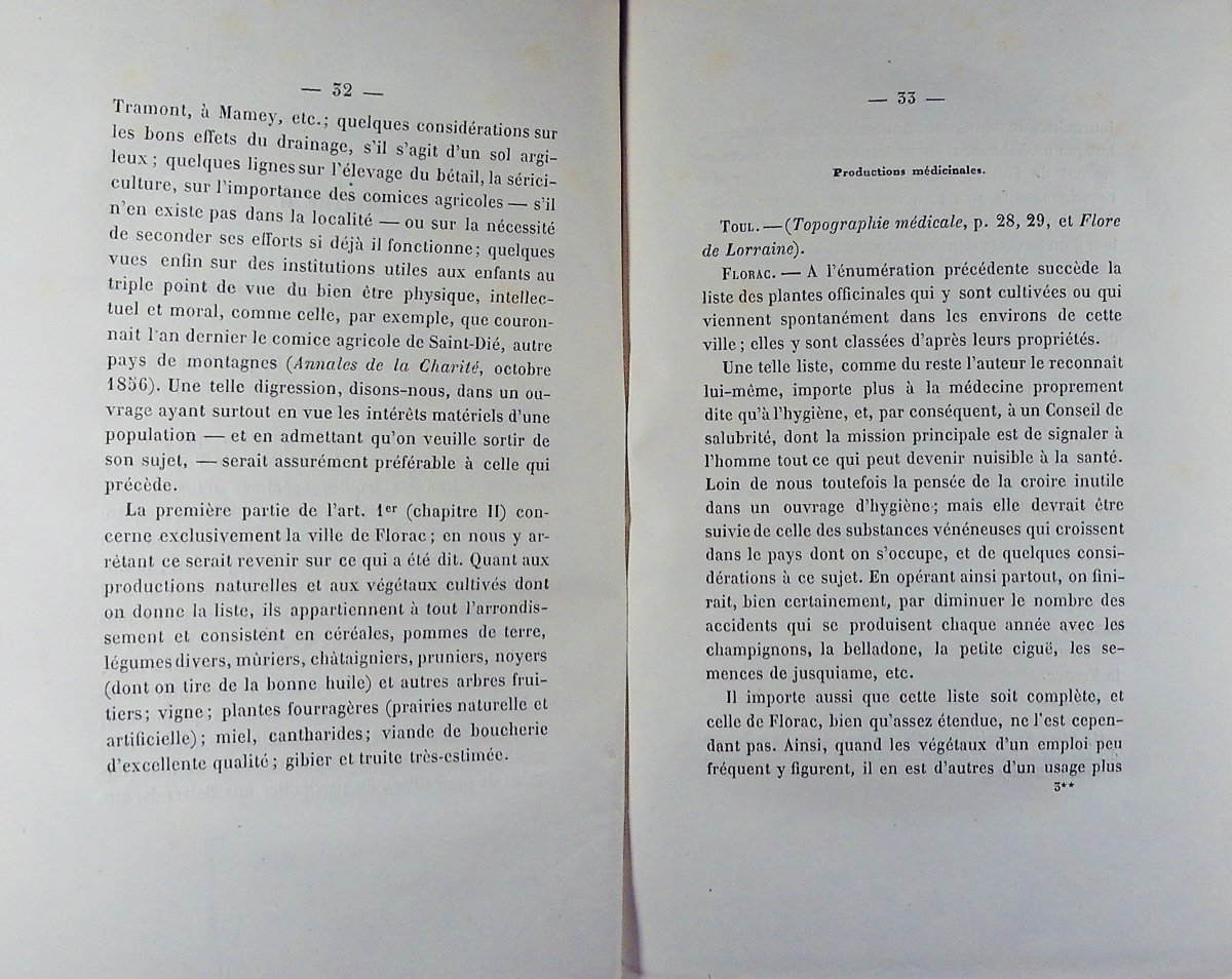 Husson - Toul And Florac Compared From The Point Of View Of Hygiene. Lepage, 1858, Paperback.-photo-4