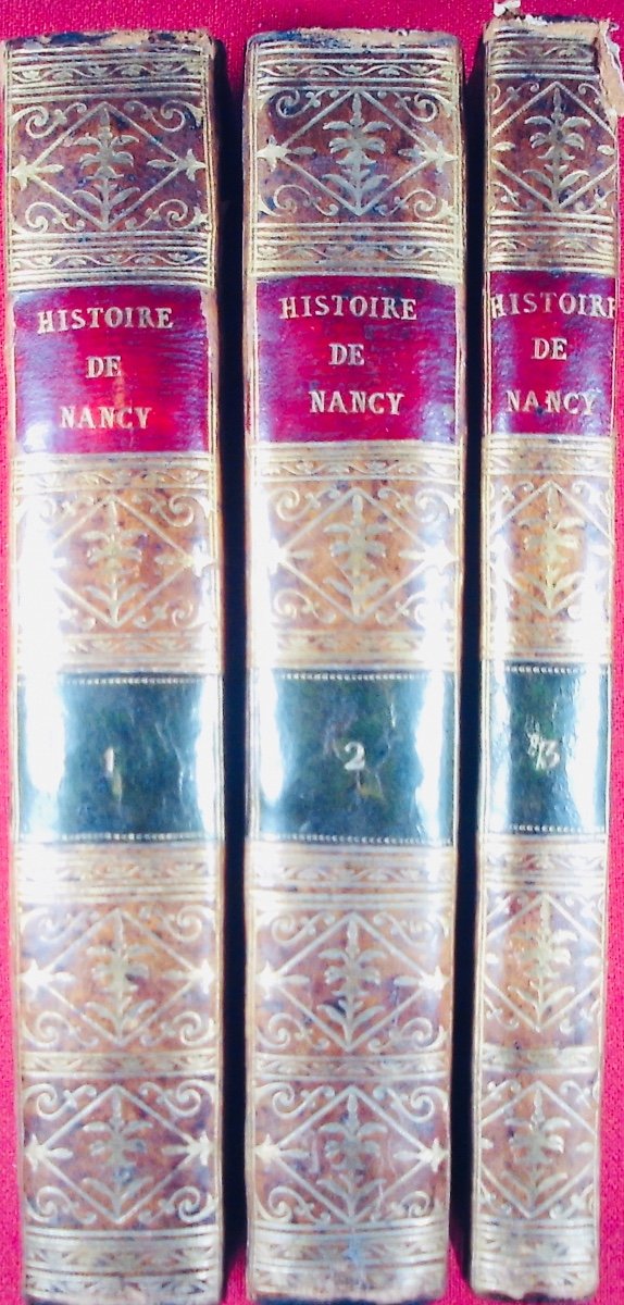Lionnois - History Of The Old And New Towns Of Nancy. Haener, 1811, Bound, With Plan.-photo-8