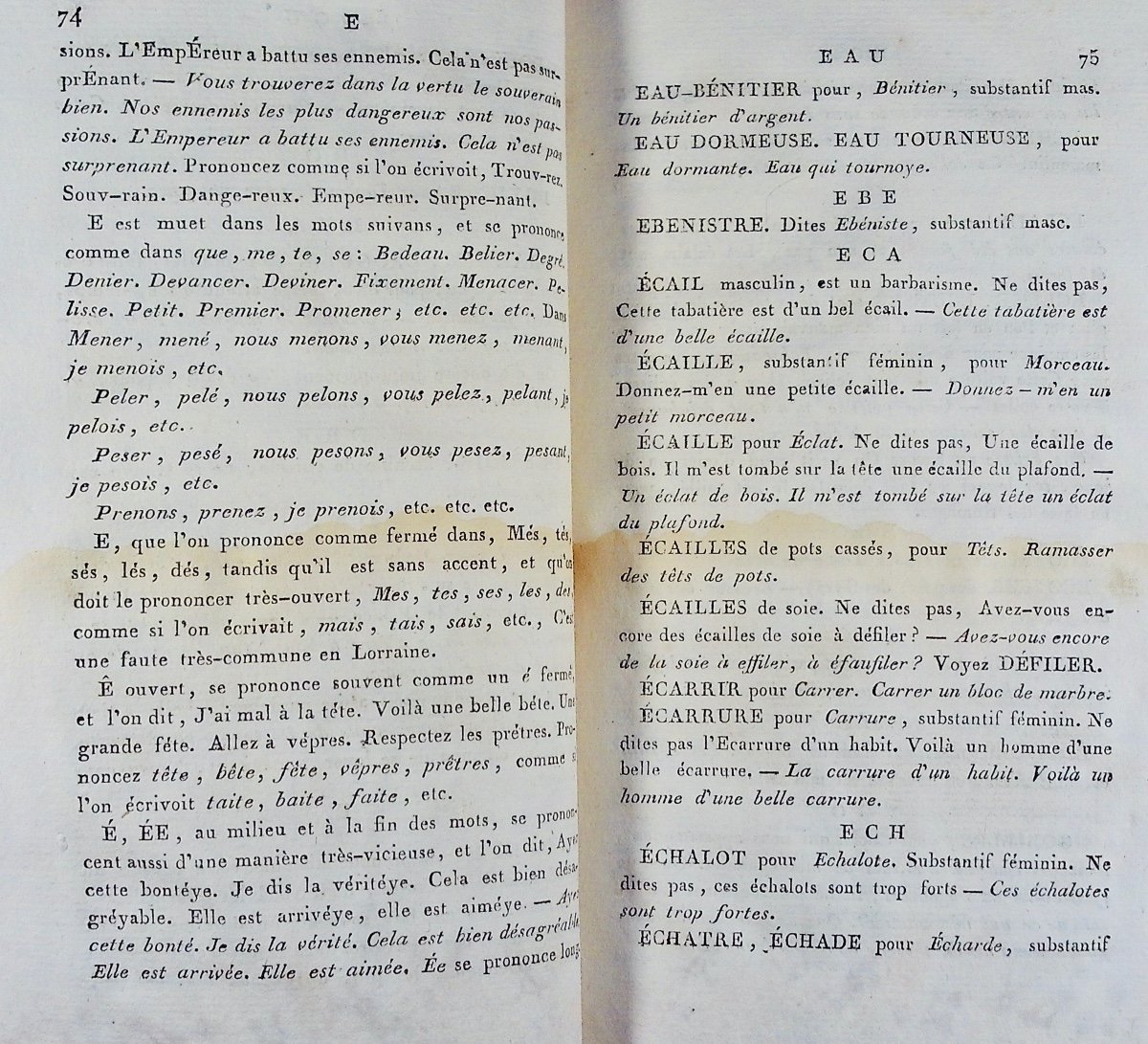 Michel - Dictionary Of Vicious Expressions Used In Lorraine. Vigneulle, 1807.-photo-2