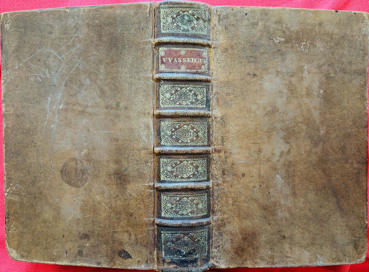 Wasserbourg (richard De) - First And Second Volume Of The Antiquities Of Belgian Gaul. 1549.-photo-6