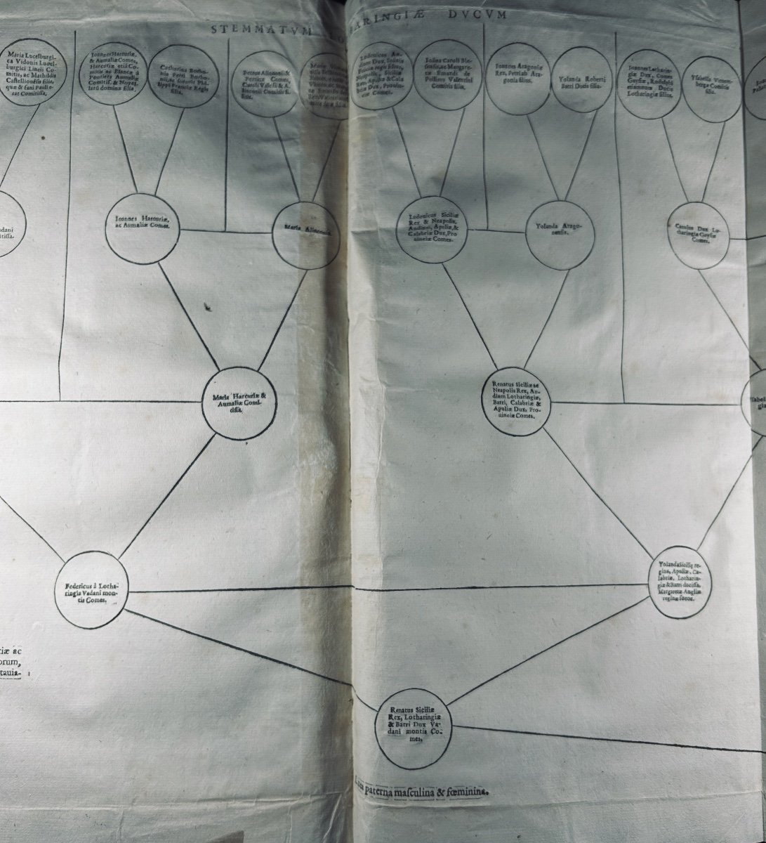 Rosières (françois De) - Stemmatum Lotharingiae.... Guillaume Chaudière, 1580, Modern Binding-photo-1