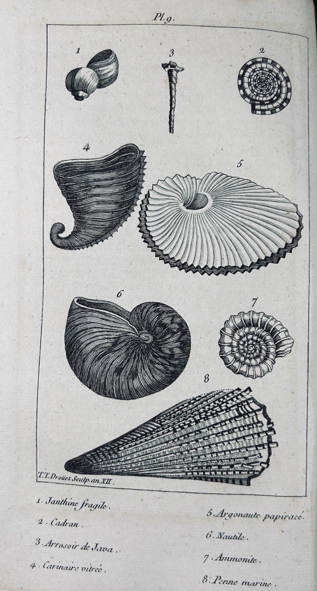 PUJOULX (J.-B.) - Le livre du second âge, ou l'histoire naturelle. Chez Gide, 1805, broché.-photo-4