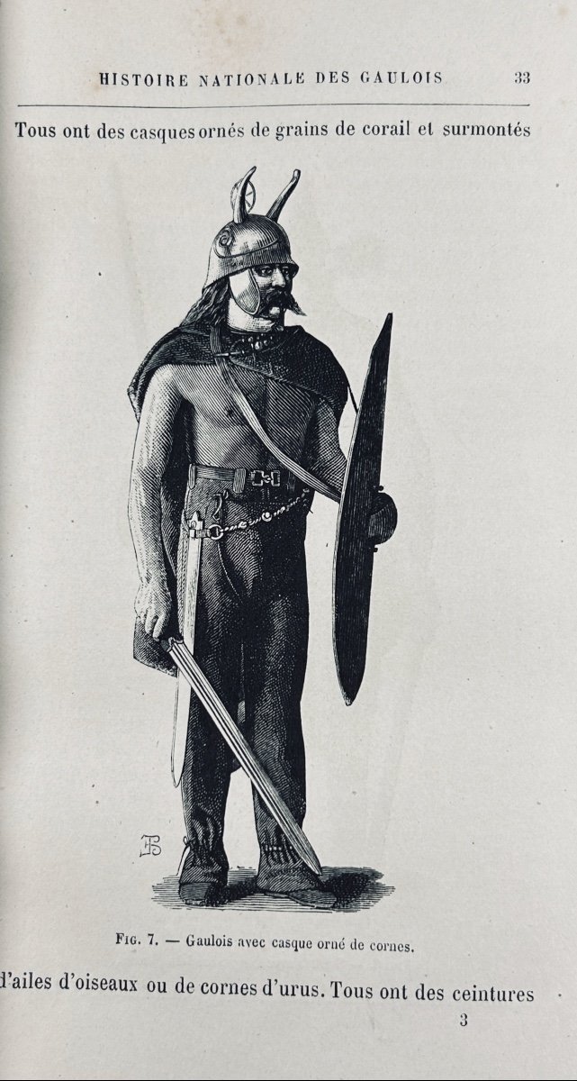 Bosc And Bonnemère - National History Of The Gauls Under Vercingetorix. Firmin Didot, 1882.-photo-4