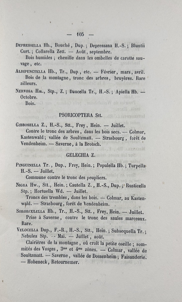 [ENTHOMOLOGIE] - PEYERIMHOFF - Catalogue des lépidoptères d'Alsace. Decker, 1872, broché.-photo-4