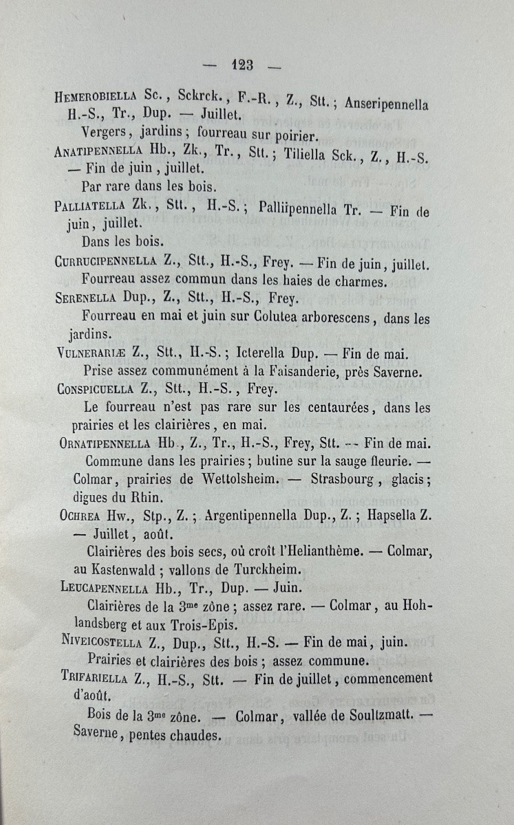 [ENTHOMOLOGIE] - PEYERIMHOFF - Catalogue des lépidoptères d'Alsace. Decker, 1872, broché.-photo-13