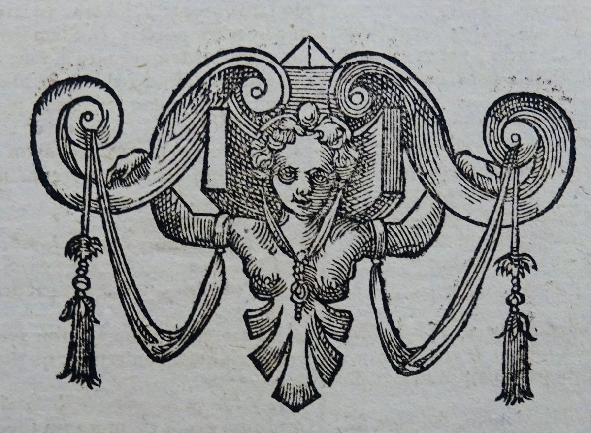 17th Century Latin Law Book 1608, 2 Volumes In Folio, Period Bindings-photo-3