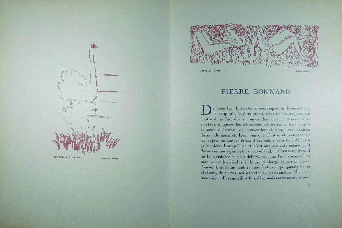 ROGER-MARX - Pierre Bonnard. Babou, 1931. Exemplaire numéroté avec une lithographie de BONNARD.-photo-3
