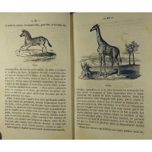 VULLIET (Adam) - Esquisse d'une nouvelle géographie physique. 1855, 3 volumes bien reliés.