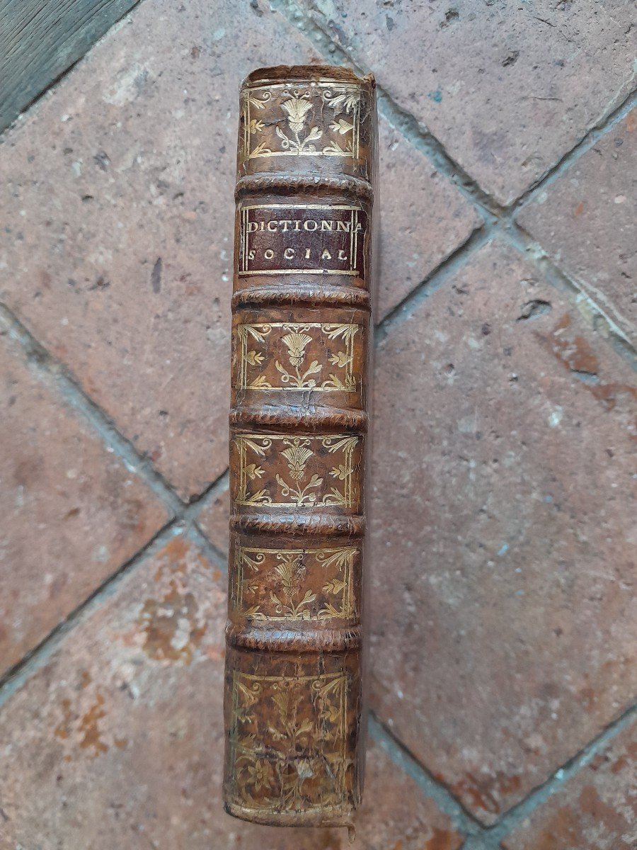 Livre Ancien M. C. R. L. F. D. B. A. A. P. D. P. Dictionnaire social et patriotique 