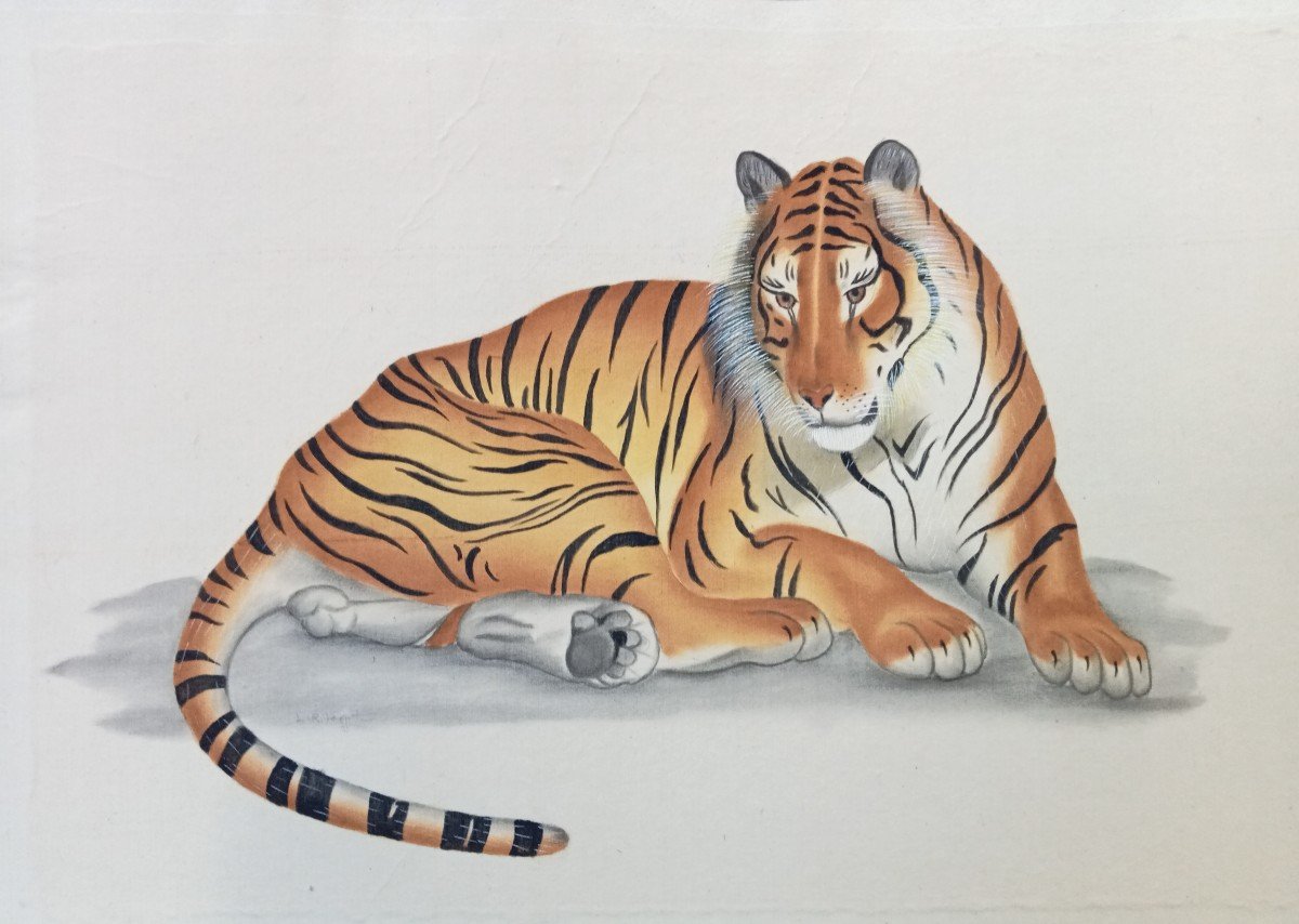 Watercolor Lying Tiger, Signed La Roche Laffitte, On Silk, 20th Century