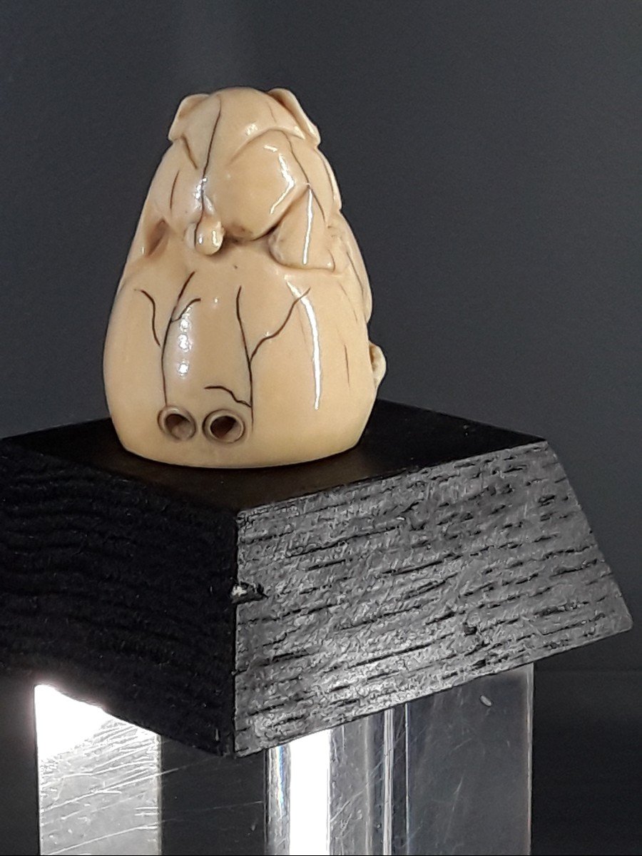 Joli Petit Netsuke Japon 19ème Siècle -photo-3