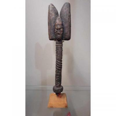 Scepter Schango, Nigeria