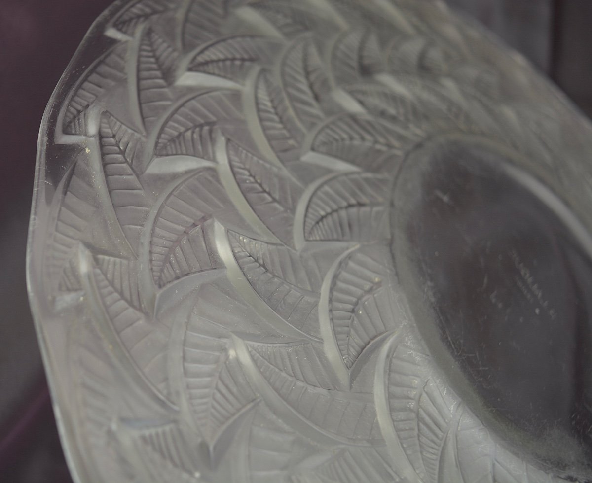 René Lalique, Assiette "ormeaux N1" Vers 1931, Signé-photo-6