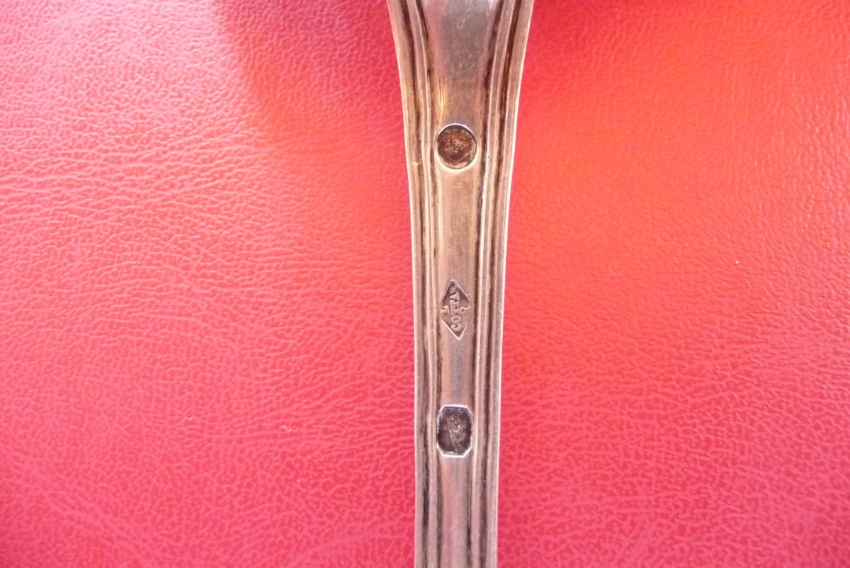 Spoon Saupoudreuse In Sterling Silver, From (louis Patient Cottat, Paris) Circa 1831.-photo-3