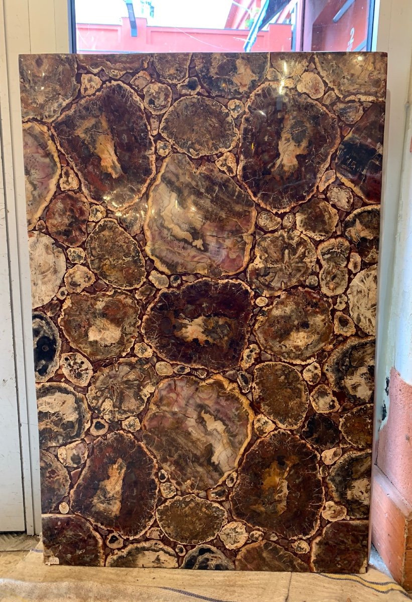 Fossilized Wood Coffee Table Top From Madagascar-photo-2