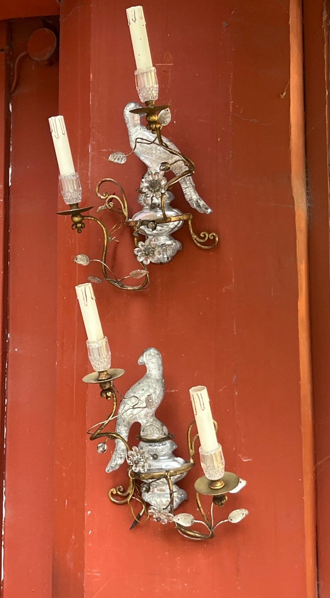 Pair Of Parrot Model Wall Lights In The Style Of Bagués Or Banci 20th Century 